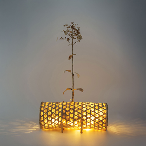 会津らんたん一輪挿し / 出ヶ原和紙の花（maigo×出ヶ原和紙）